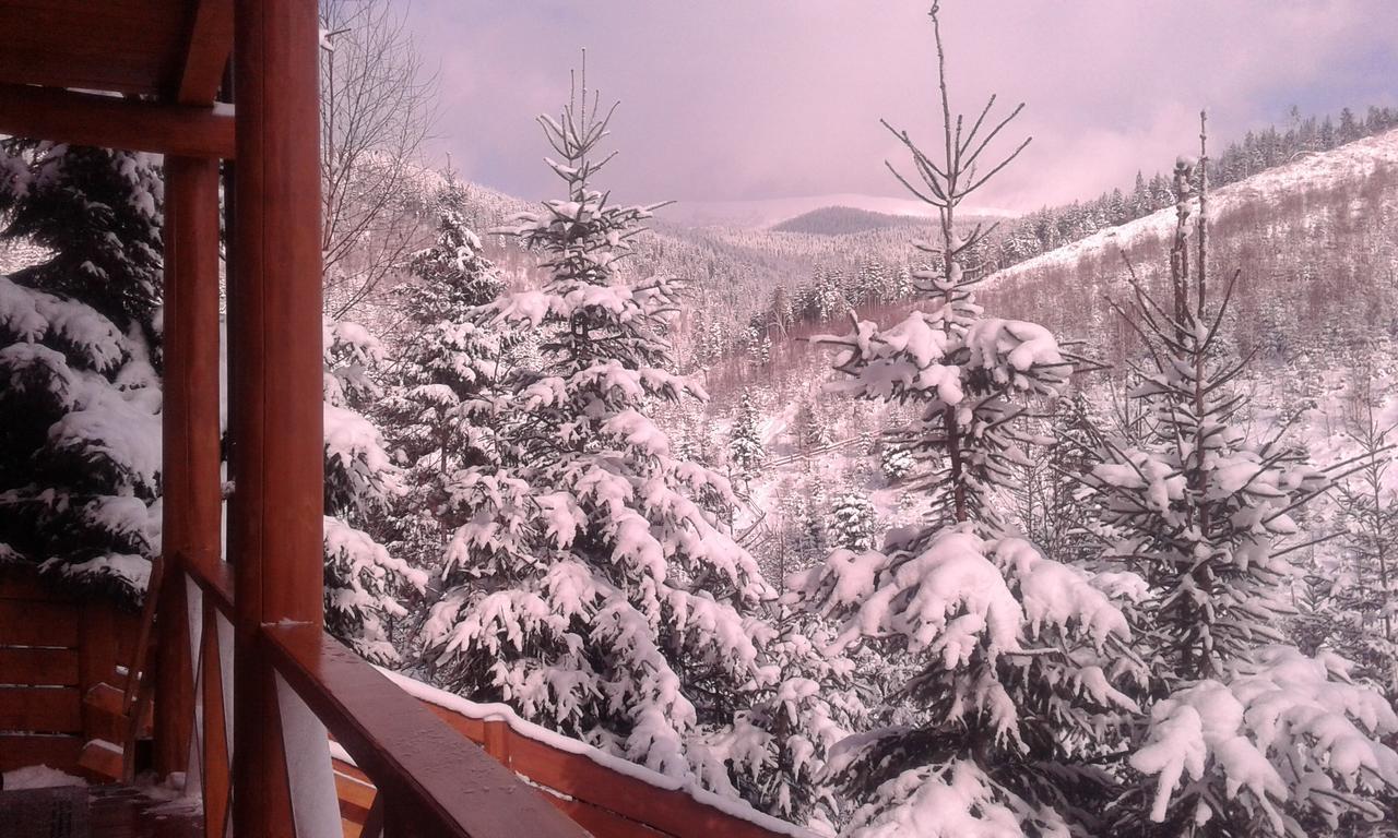 Konopka Guest House Bukovel Exterior foto